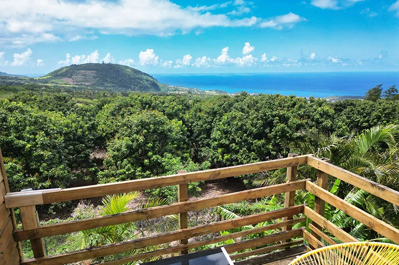 Le paysage du Sud sauvage et l’océan, vus depuis le village